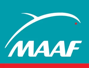 Logo maaf